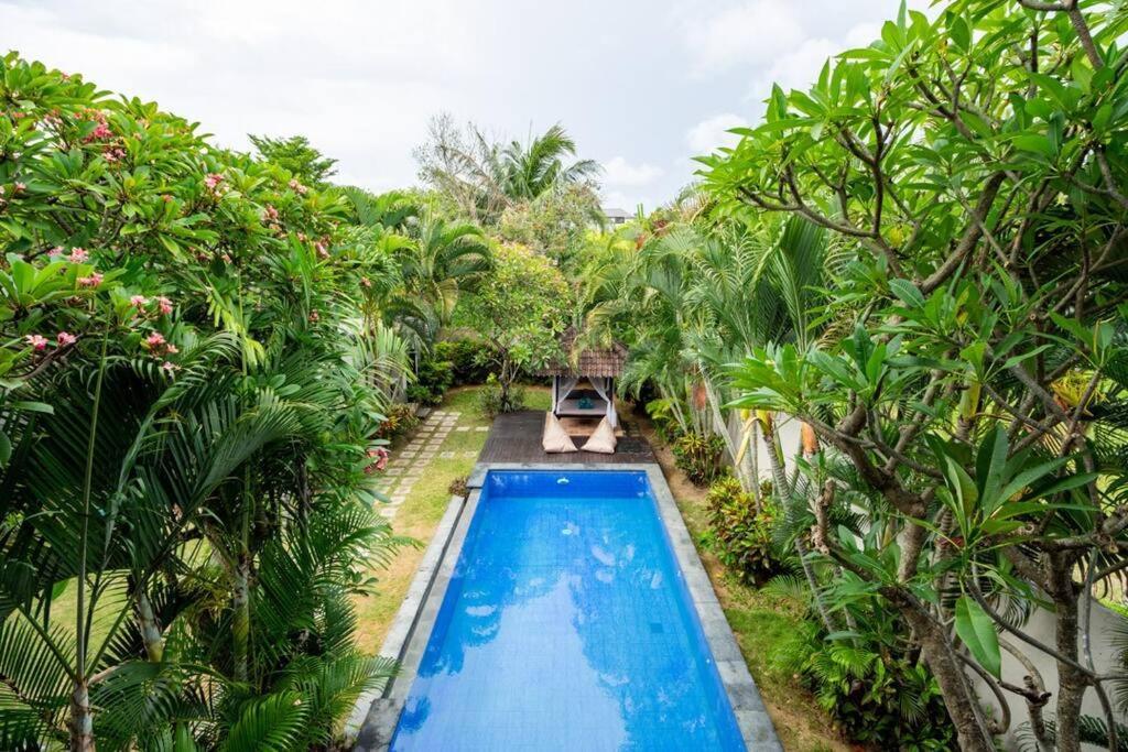 Lush Tropical Haven - 10 Minute Walk To Villa *