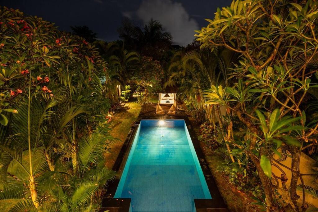 Lush Tropical Haven - 10 Minute Walk To *